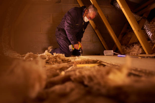 Professional Insulation Contractor in Palmer, TX